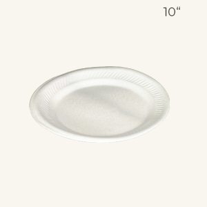 FOAM PLATES 10' 泡沫盘 10'