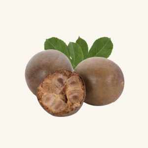 LO HAN FRUIT 罗汉果