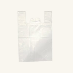 TRANSLUCENT BIG BAG 透明袋 大